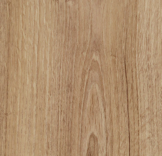 Classic Authentic Oak