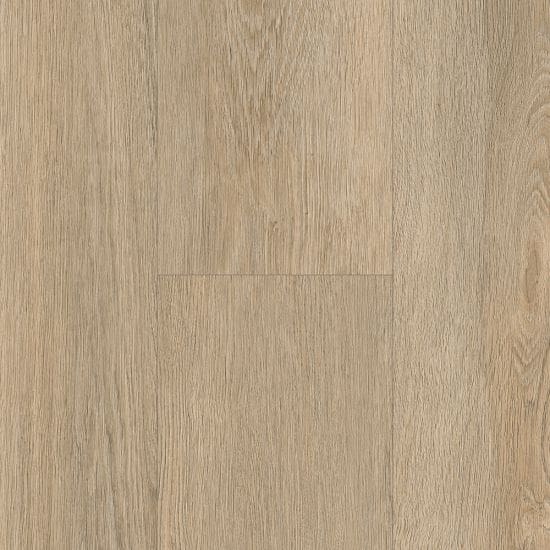 Bare Oak