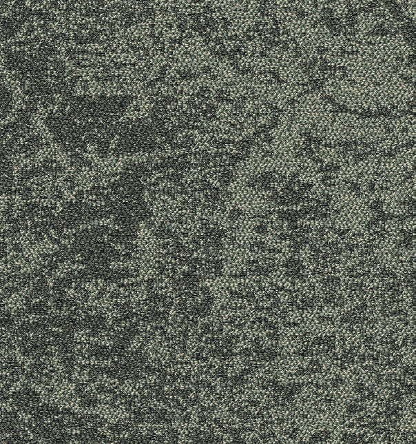 STS 3000 Earthquake 00702