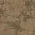 Terrain