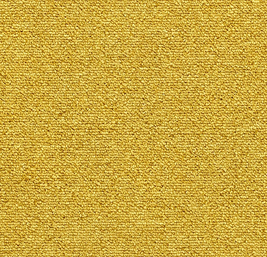 Custard