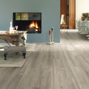 Polyflor Ejecta